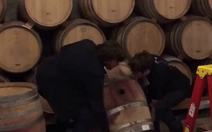 Lemelson Vineyards - Carlton, OR
