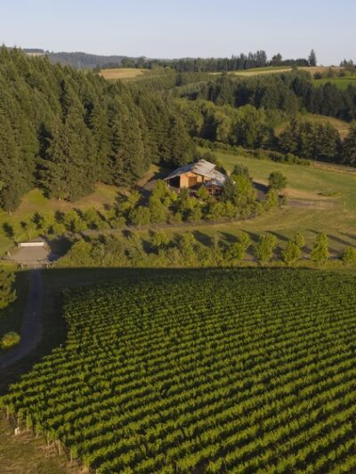 Lemelson Vineyards - Carlton, OR