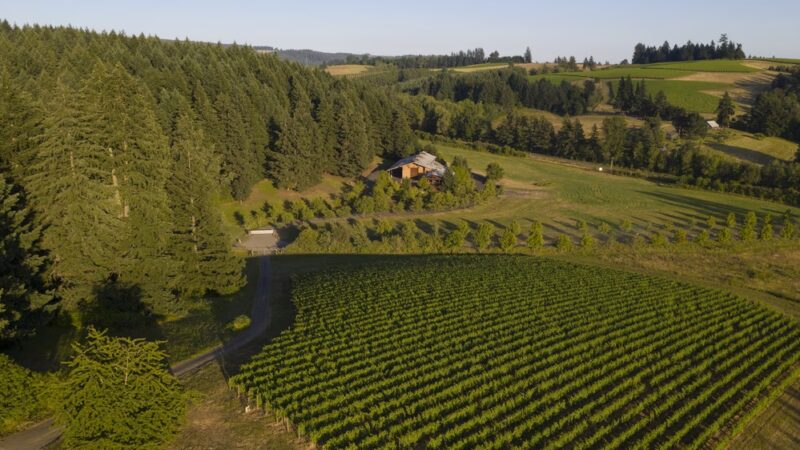 Lemelson Vineyards - Carlton, OR