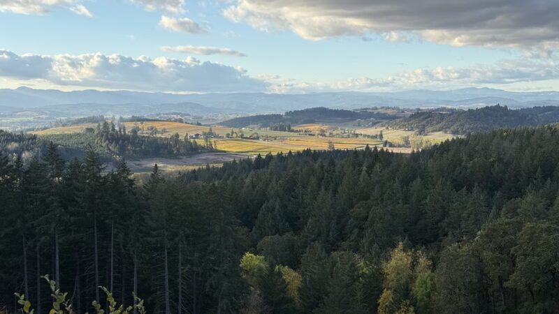 Trappist Abbey Guadalupe Trailhead Loop - Carlton, OR
