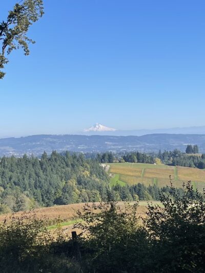 Trappist Abbey Guadalupe Trailhead Loop - Carlton, OR