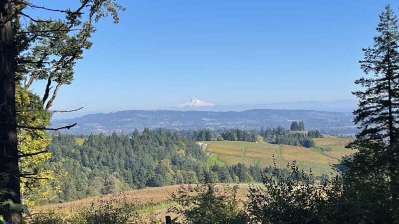 Trappist Abbey Guadalupe Trailhead Loop - Carlton, OR