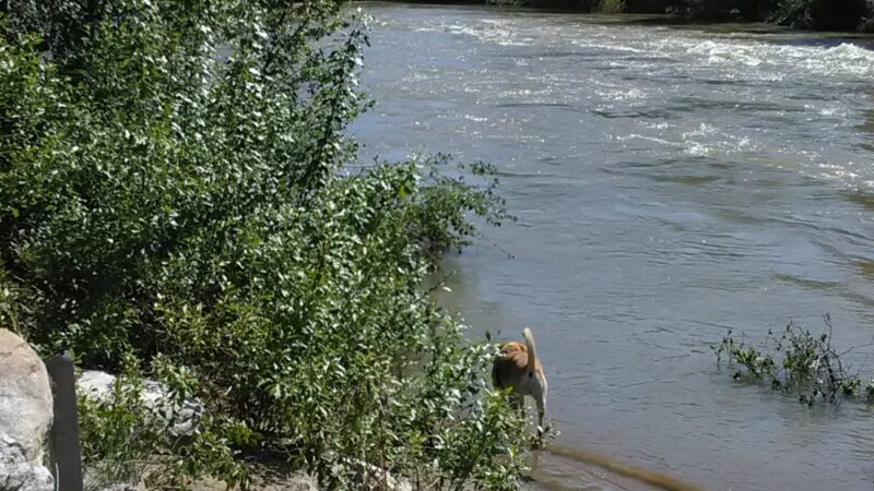 Carlton RV Park - Carlton, WA