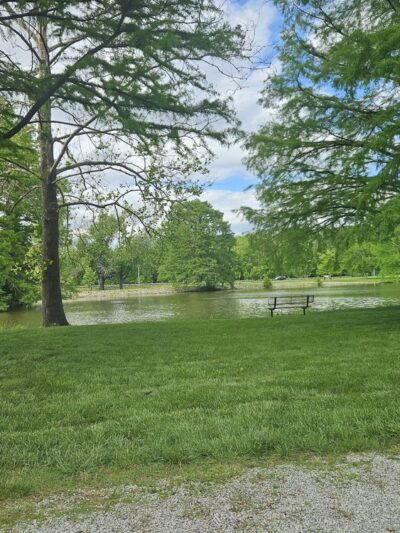 Carlyle Dog Park - Carlyle, IL