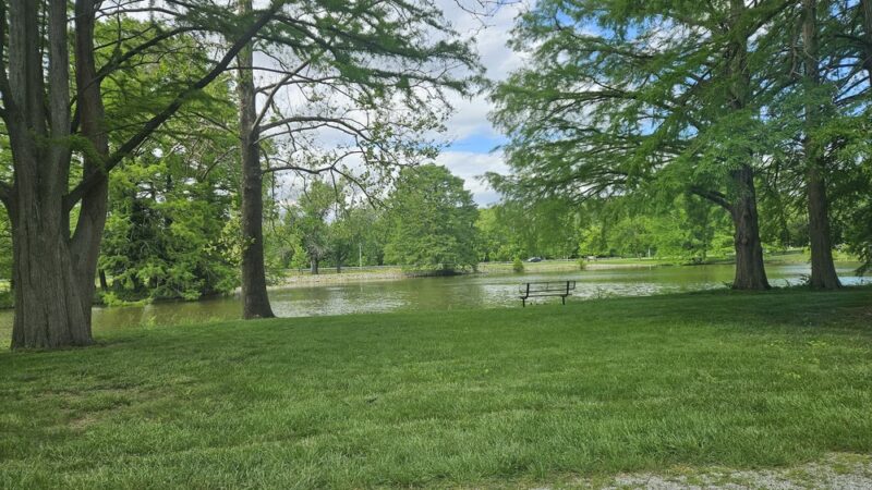 Carlyle Dog Park - Carlyle, IL