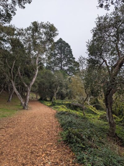 Mission Trail Park - Carmel-By-The-Sea, CA