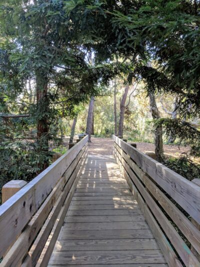 Mission Trail Park - Carmel-By-The-Sea, CA