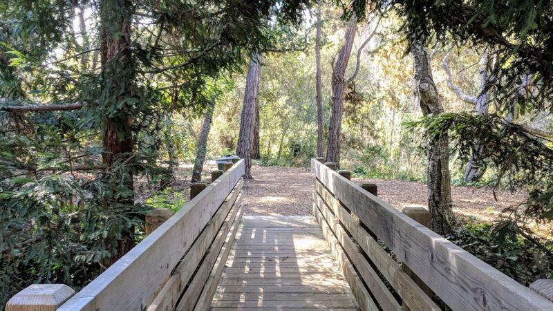 Mission Trail Park - Carmel-By-The-Sea, CA
