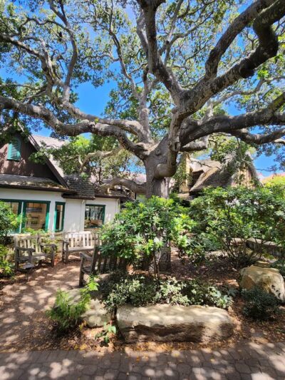 Piccadilly Park - Carmel-By-The-Sea, CA