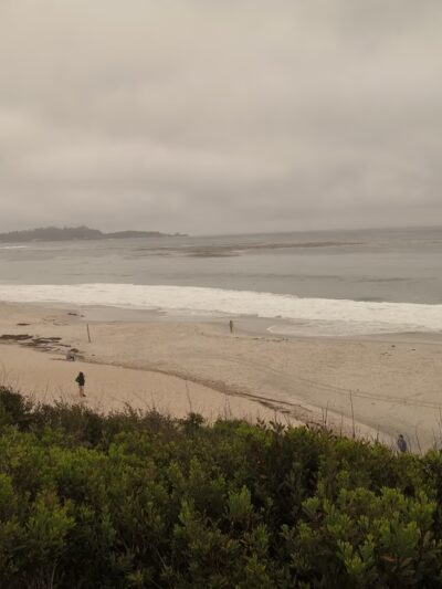 ZQP Trail to Beach - Carmel-By-The-Sea, CA