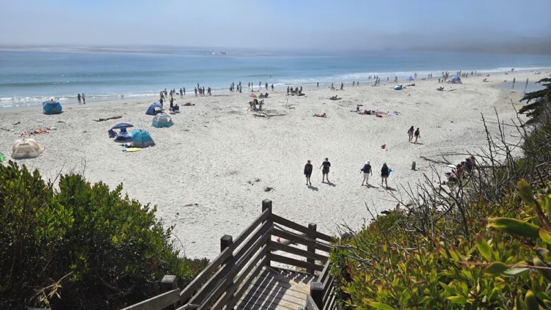 ZQP Trail to Beach - Carmel-By-The-Sea, CA