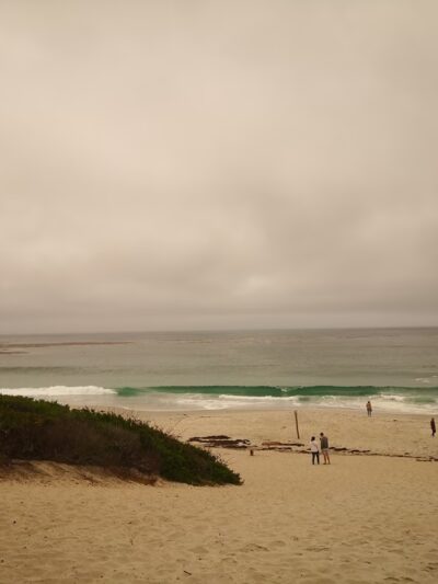 ZQP Trail to Beach - Carmel-By-The-Sea, CA