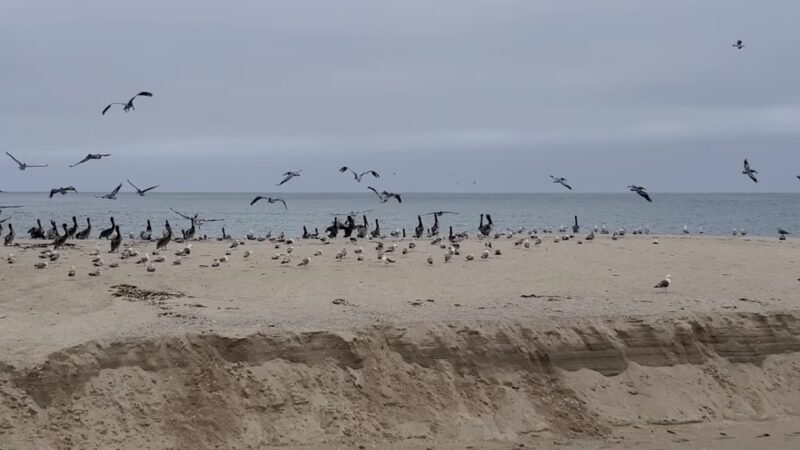 Carmel River State Beach - Carmel, CA