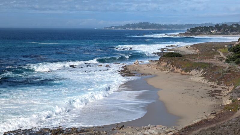 Carmel River State Beach - Carmel, CA
