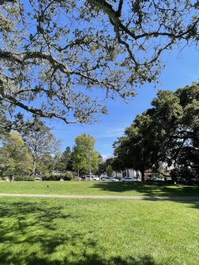 Devendorf Park - Carmel, CA