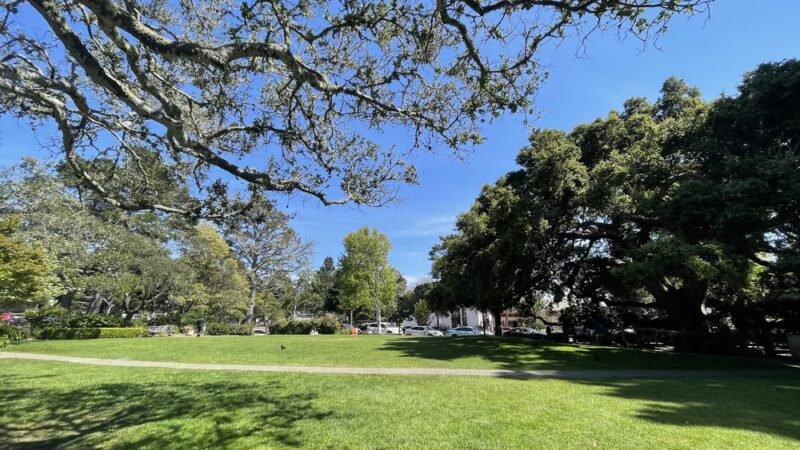 Devendorf Park - Carmel, CA