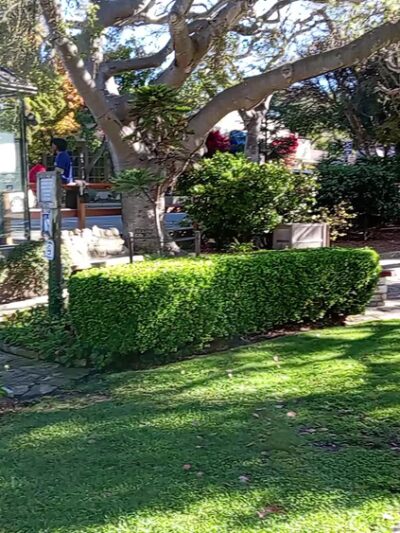 Devendorf Park - Carmel, CA