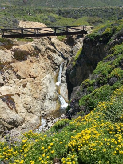 Garrapata State Park - Carmel, CA
