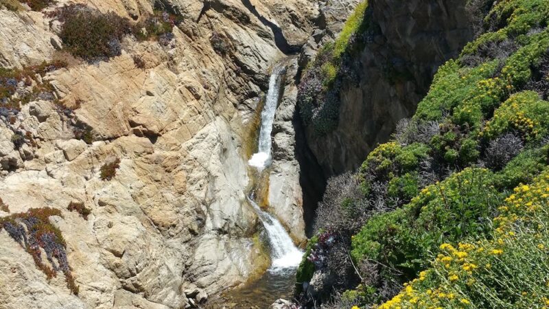 Garrapata State Park - Carmel, CA