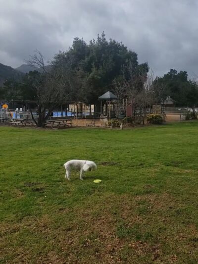 Carmel Valley Community Park - Carmel Valley, CA