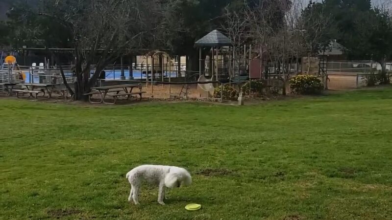 Carmel Valley Community Park - Carmel Valley, CA