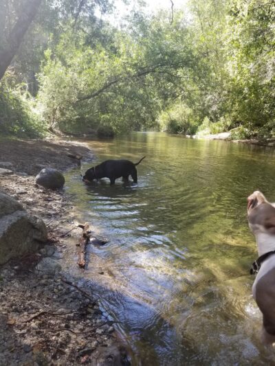 Dampierre Park - Carmel Valley, CA