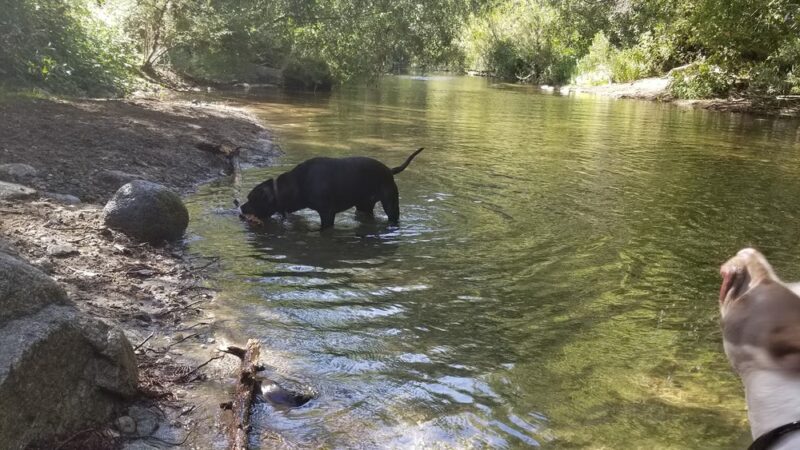 Dampierre Park - Carmel Valley, CA