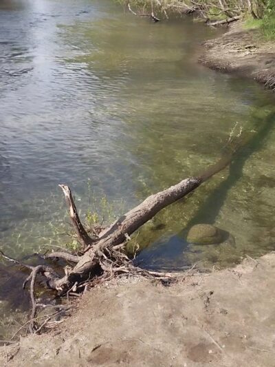 Dampierre Park - Carmel Valley, CA