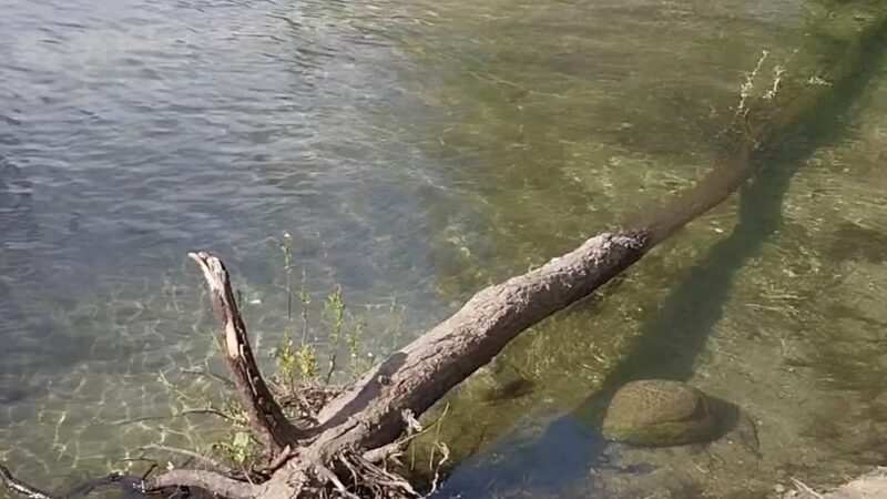 Dampierre Park - Carmel Valley, CA