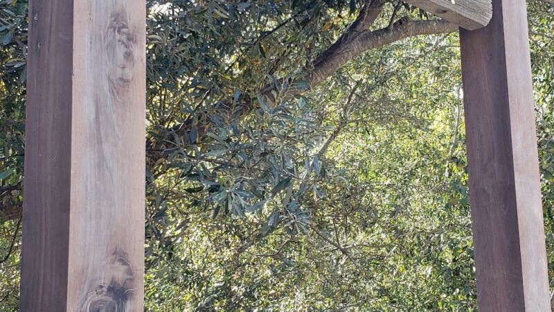 Garland Ranch Regional Park - Carmel Valley, CA