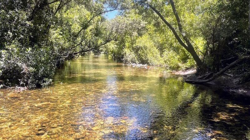 Garland Ranch Regional Park - Carmel Valley, CA