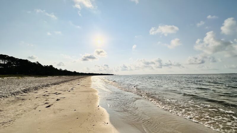 Carrabelle Beach Park - Carrabelle, FL