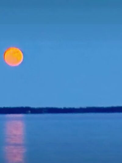 Carrabelle Beach Park - Carrabelle, FL