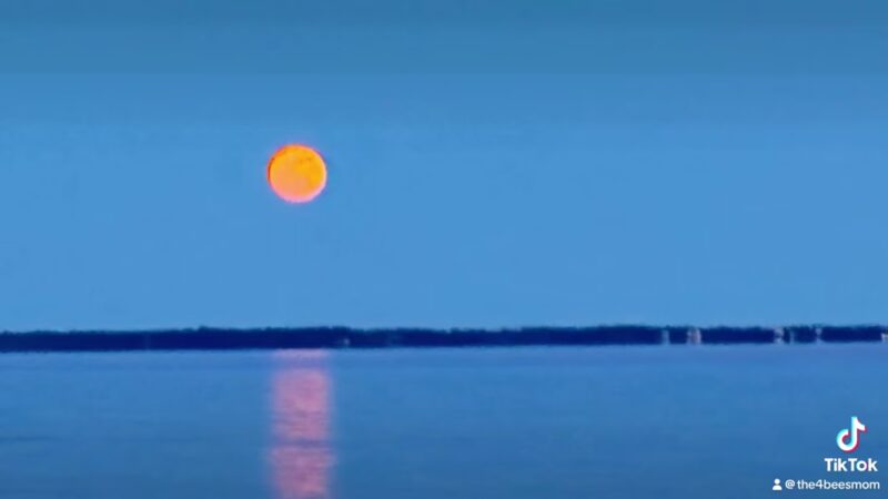 Carrabelle Beach Park - Carrabelle, FL