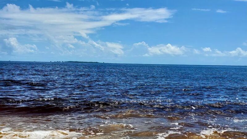 Carrabelle Beach Park - Carrabelle, FL