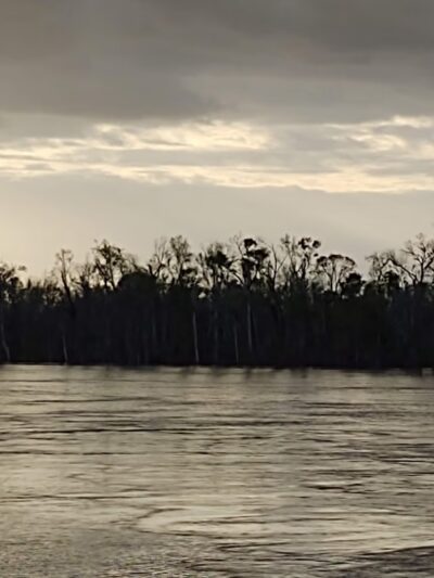 Great Park - Carrabelle, FL