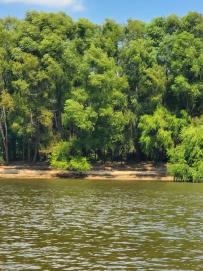 Great Park - Carrabelle, FL