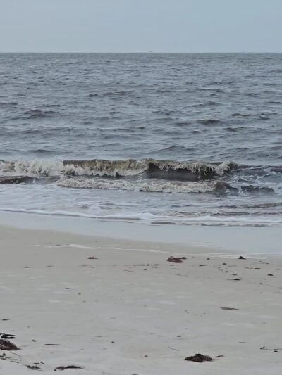 Gulf Beach Park - Carrabelle, FL