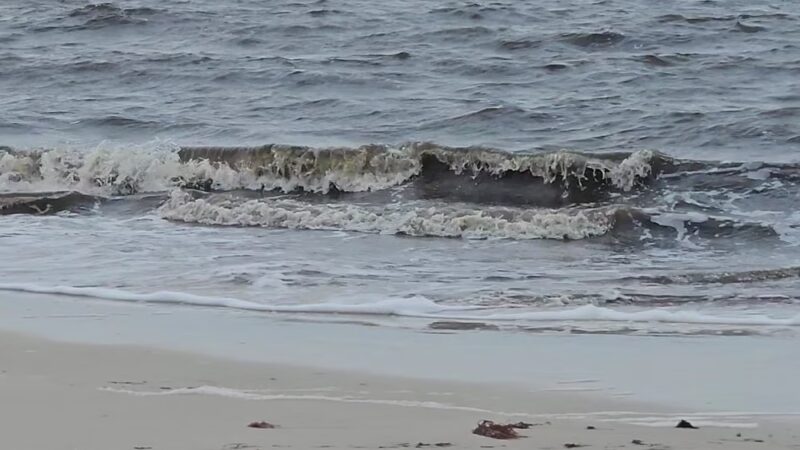 Gulf Beach Park - Carrabelle, FL