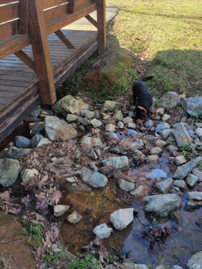 McNeill Walking Track - Carriere, MS