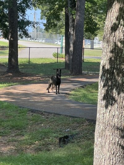 McNeill Walking Track - Carriere, MS