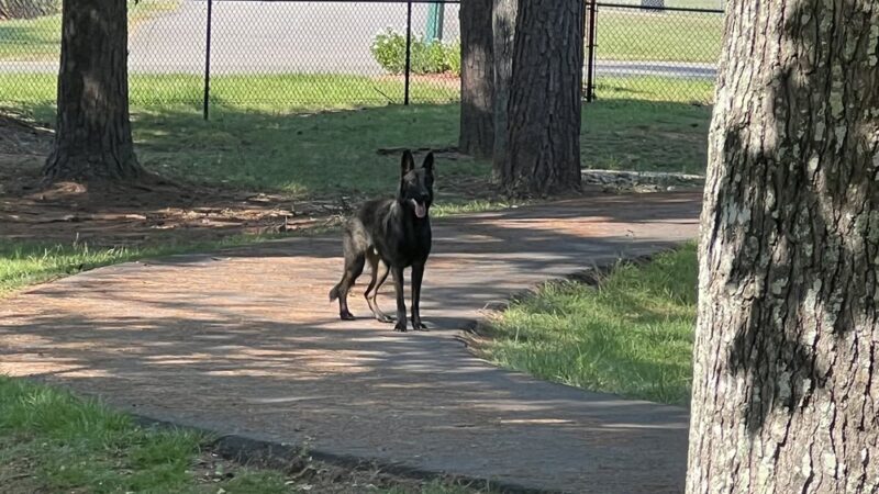McNeill Walking Track - Carriere, MS