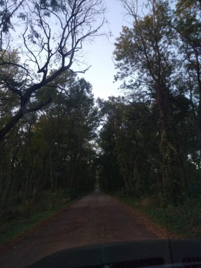 Graham Park - Carroll, IA