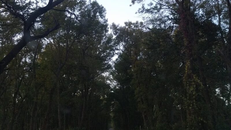 Graham Park - Carroll, IA