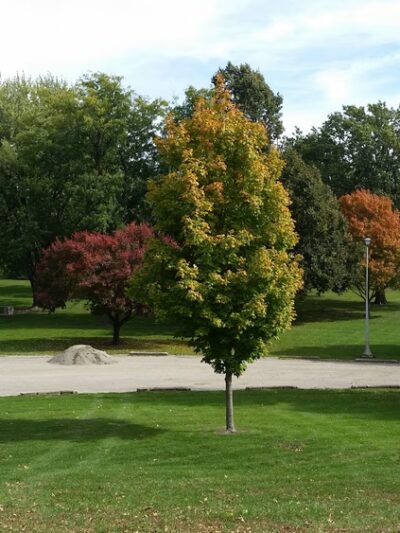 Northwest Park - Carroll, IA