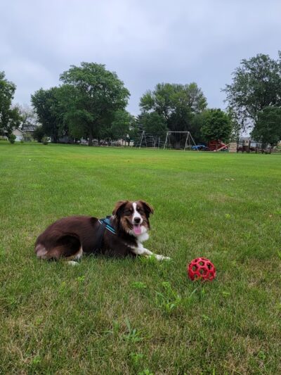 Southside Park - Carroll, IA