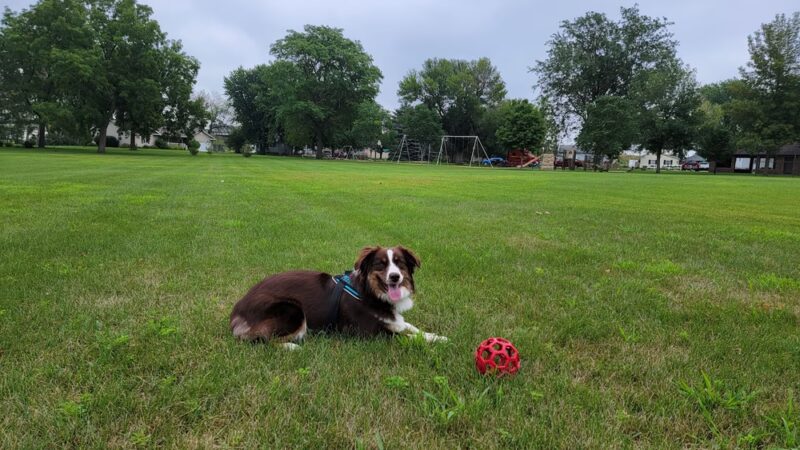 Southside Park - Carroll, IA