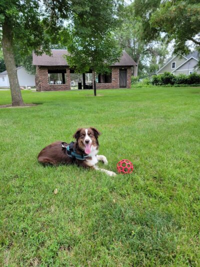 Southside Park - Carroll, IA