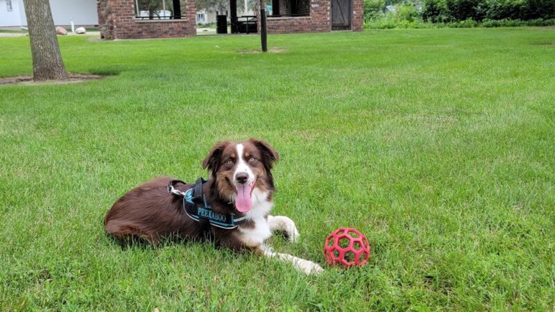 Southside Park - Carroll, IA