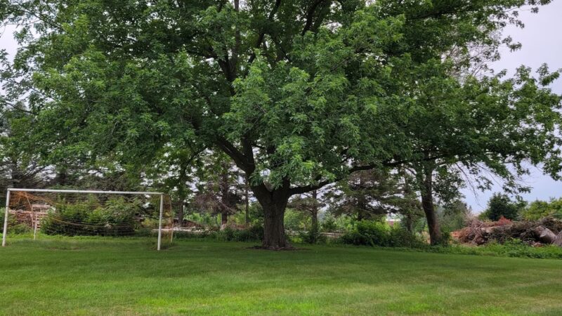 Southside Park - Carroll, IA